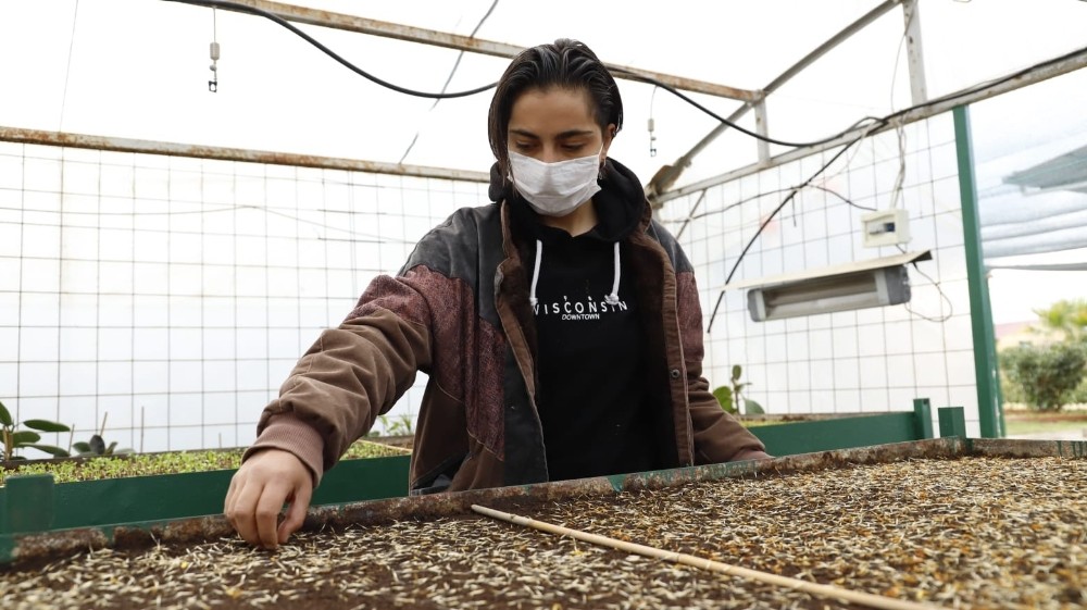 Sevgi çiçeklerini kendileri yetiştiriyor