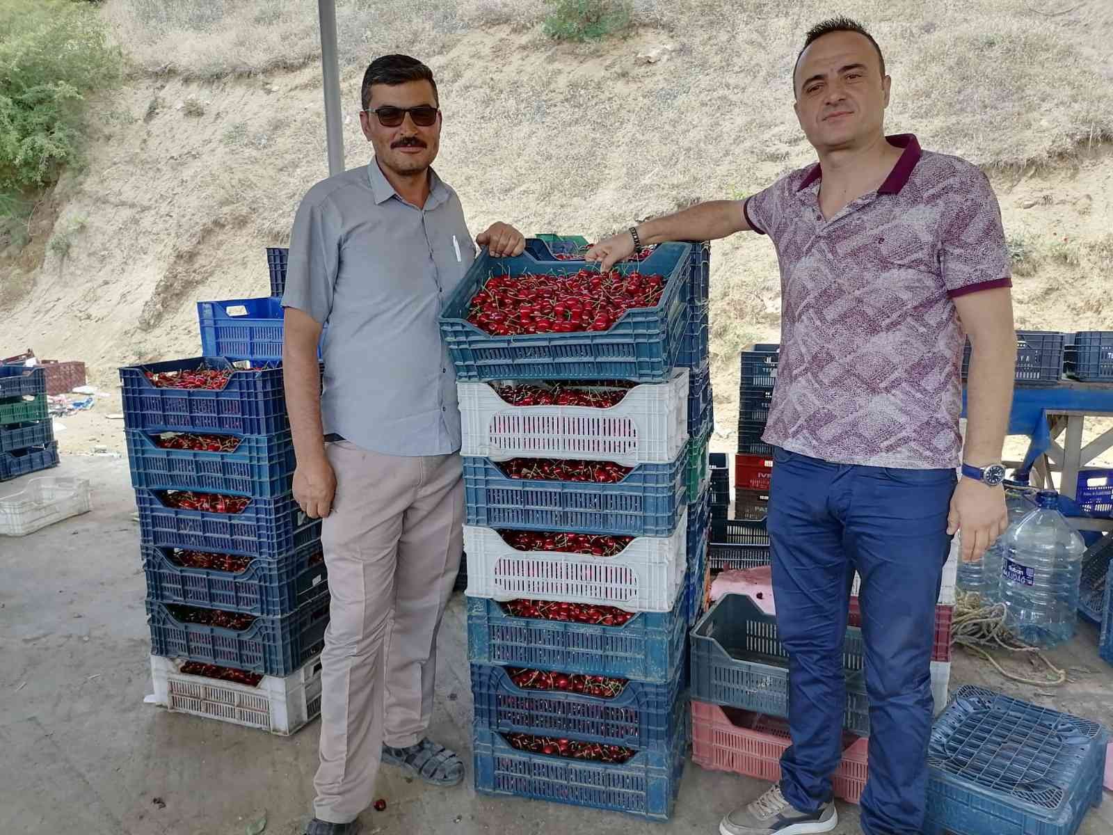 Simav’lı çiftçiler kiraz ve vişneden yılda 250 milyon TL gelir elde ediyor