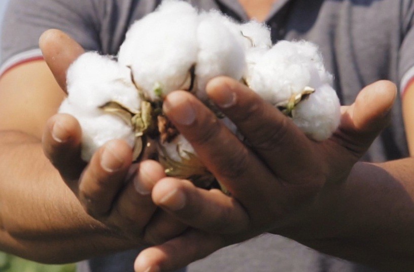 Söke TARİŞ’ten anlamlı video; ’72 yıldır üreticinin sigortasıyız’