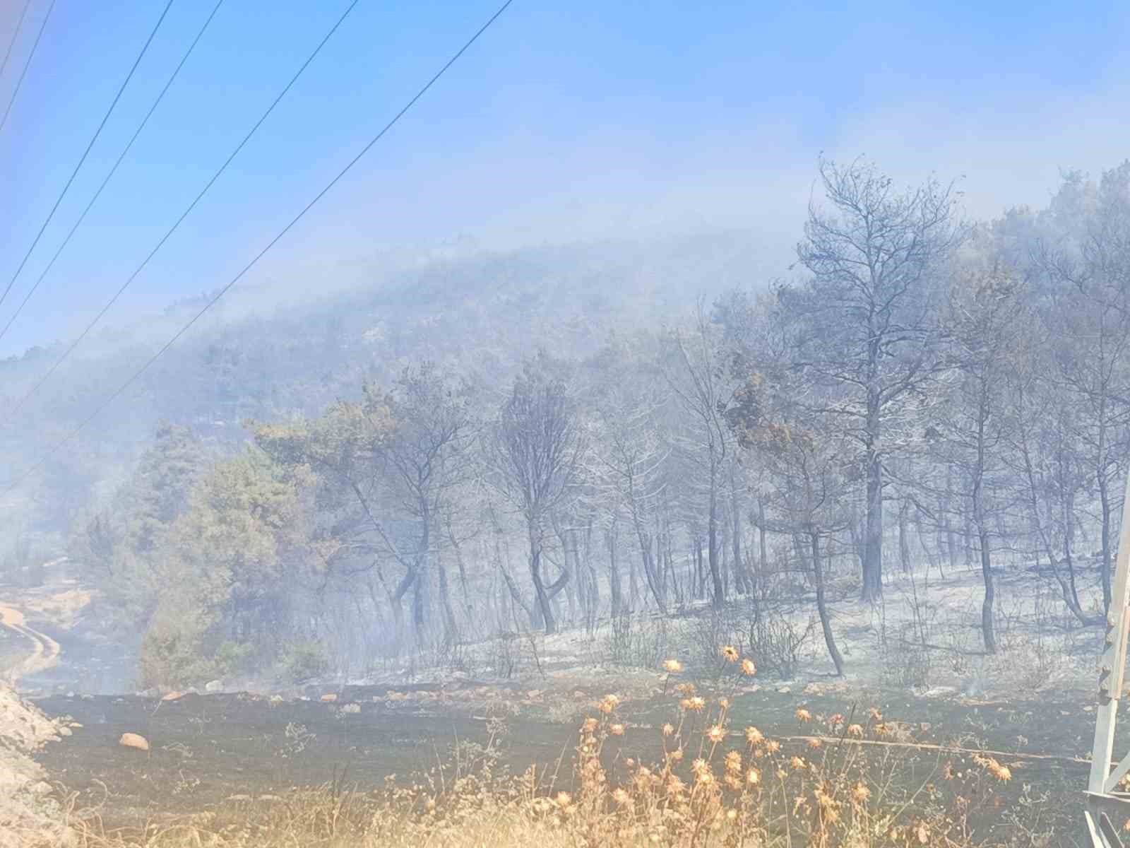 Alaşehir yangını kontrol altına alındı