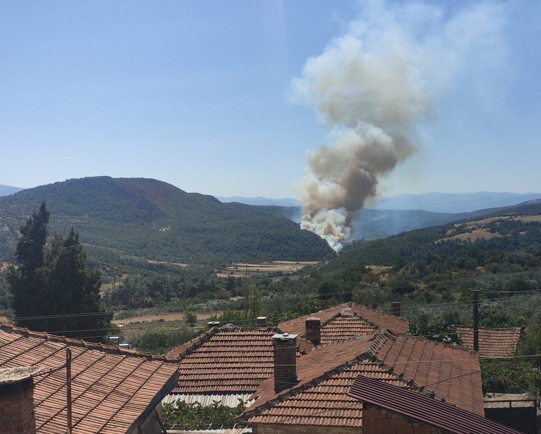 Soma’da orman yangını