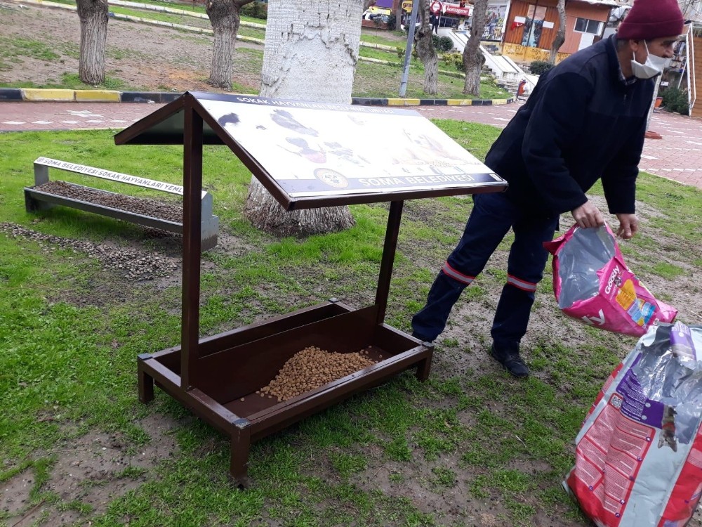 Soma’da sokak hayvanları için korunaklı beslenme ünitesi