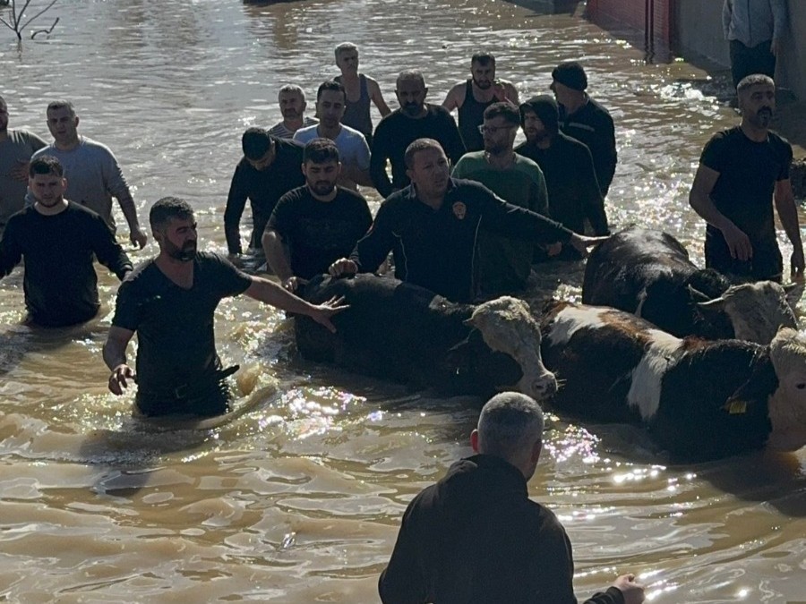 Taşan Gediz Nehri dolayısıyla mahsur kalan 44 kişi ve 127 hayvan kurtarıldı