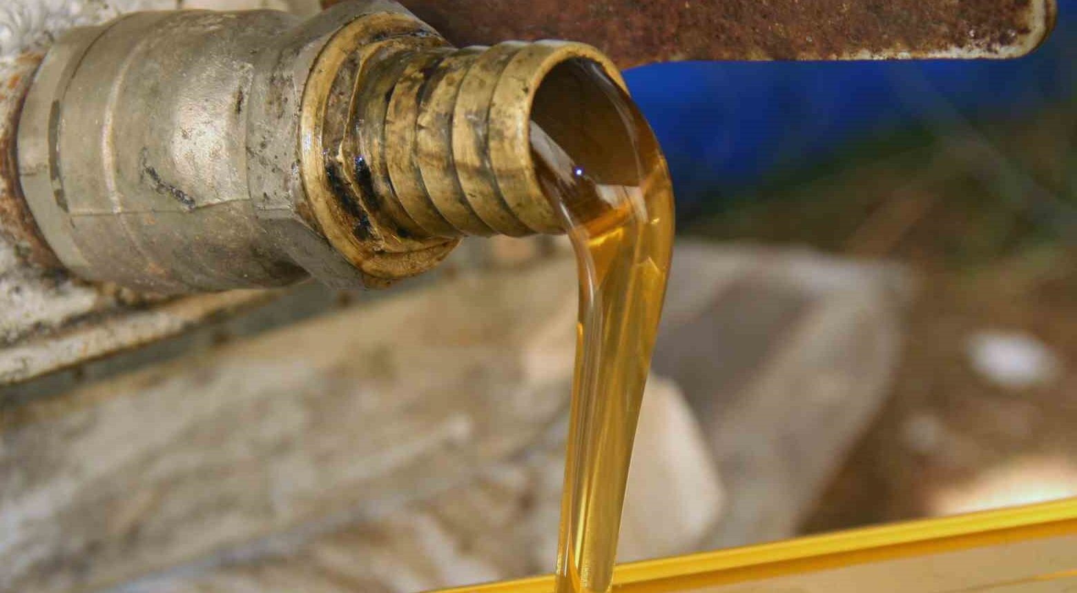 Türk çam balının dünya pazarındaki ekonomik payı arttırılacak