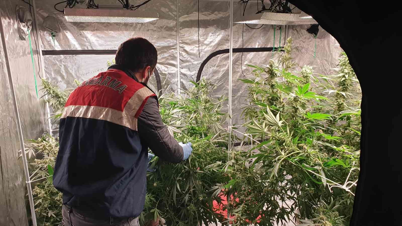 Uyuşturucu serasına çevrilen eve jandarmadan baskın: 3 gözaltı