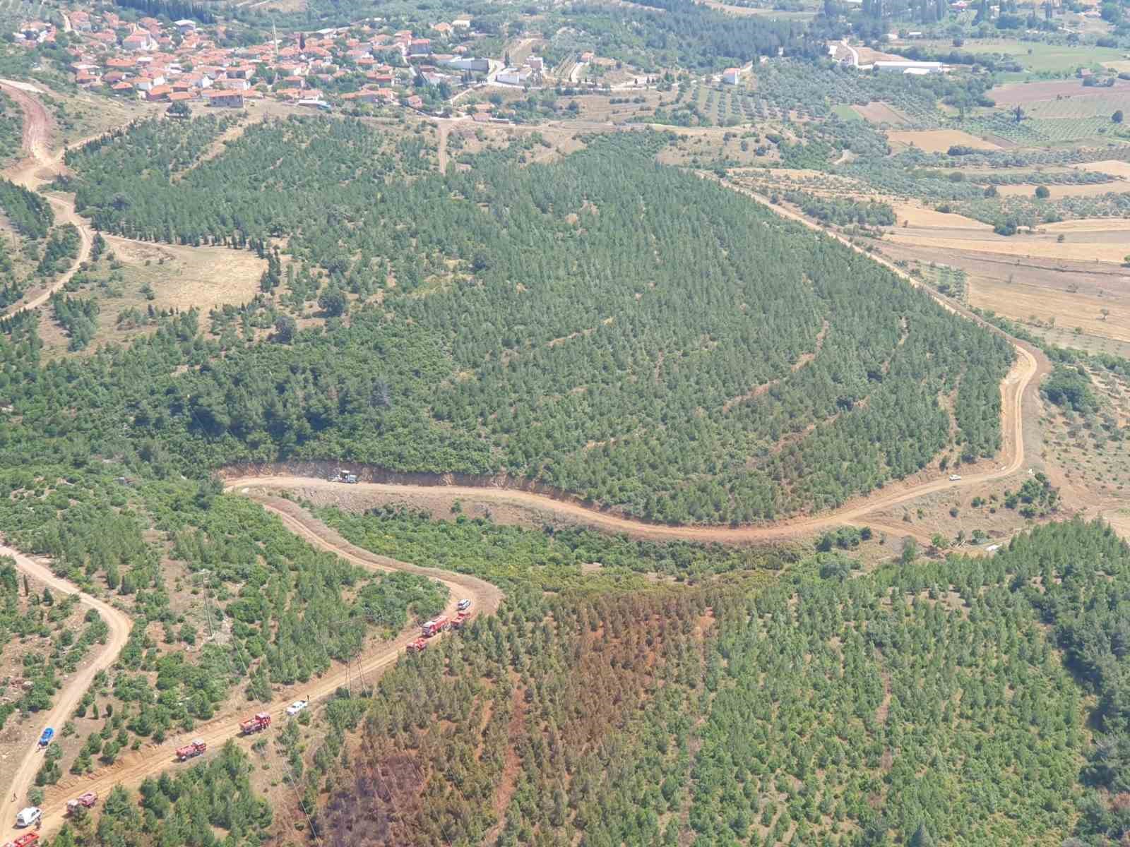 Valilik uyardı: ‘Manisa’da sıcak havayla birlikte orman yangın riski de artacak’