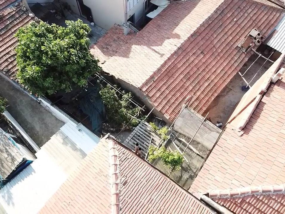 Vefat eden kayınpederinin evinde kenevir yetiştirdi