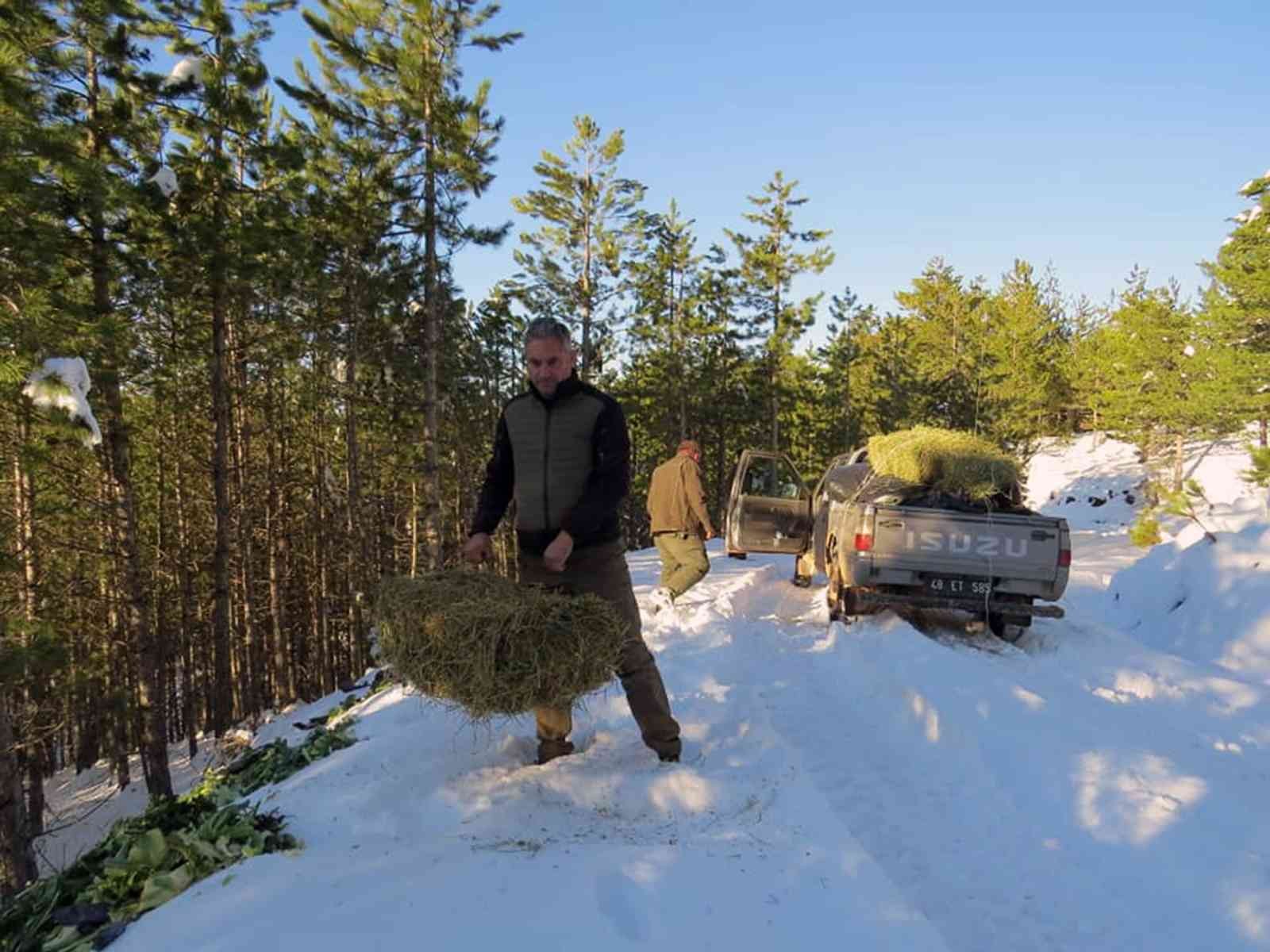 Yaban hayvanlarına yem