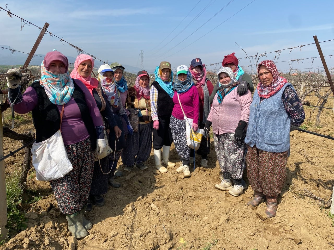 Yağışa teslim olan bağlar ayağa kalktı