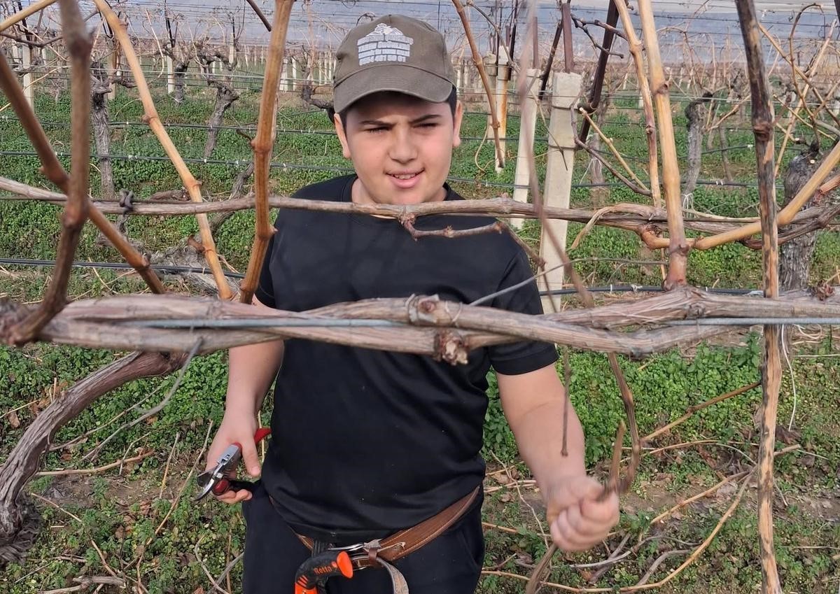 Yağmur bitti, çiftçi bağlara koştu