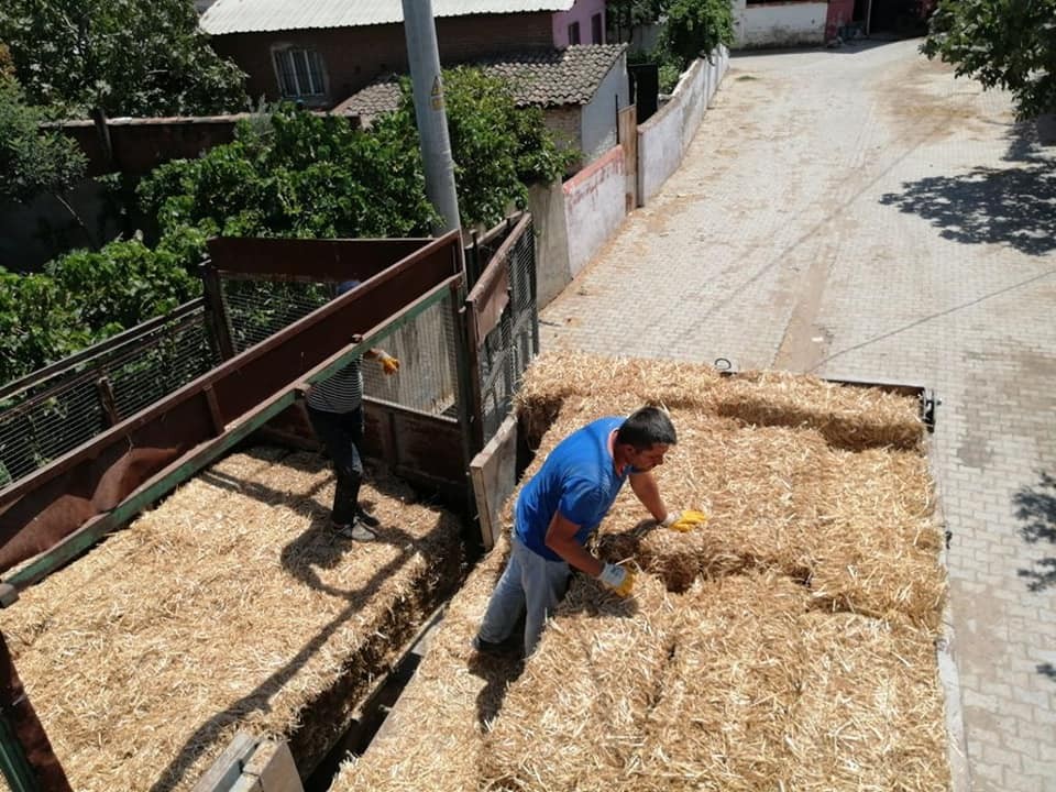 Yangında zarar gören çiftçiler yem ve saman bağışı