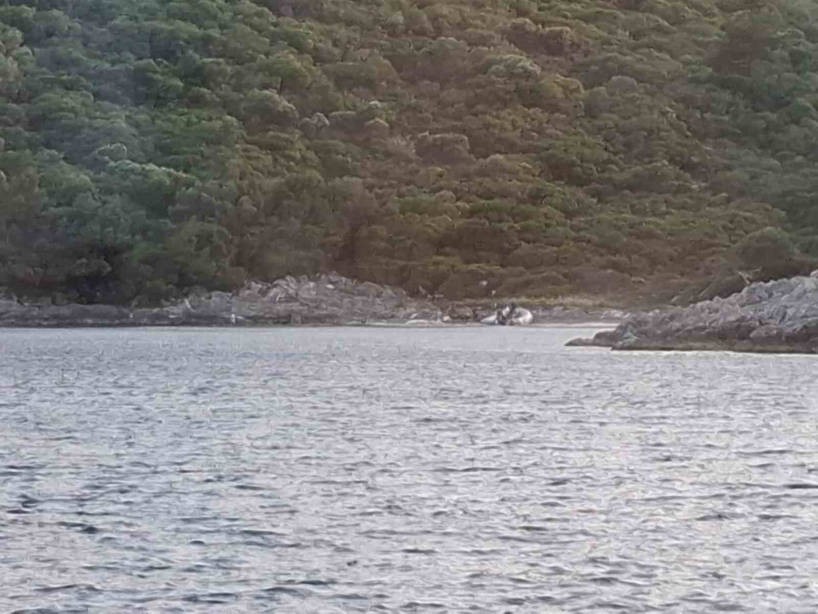 Yasak bölgeye zodyak botla gelen 3 şahıs yakalandı