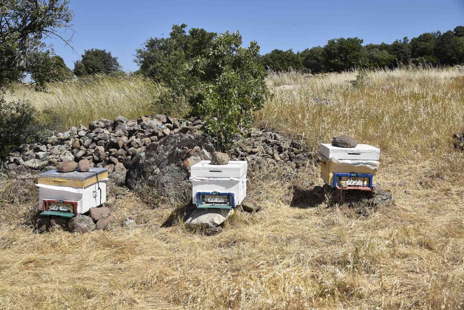 Yunusemre Belediyesi 2023 yılında da bal üreticilerini destekleyecek