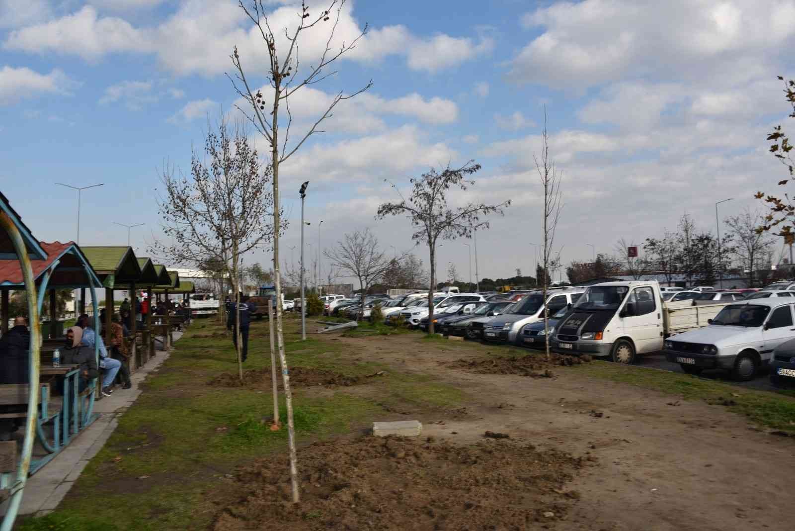 Yunusemre Belediyesinden Manisa CBÜ Hafsa Sultan Hastanesinde ağaçlandırma