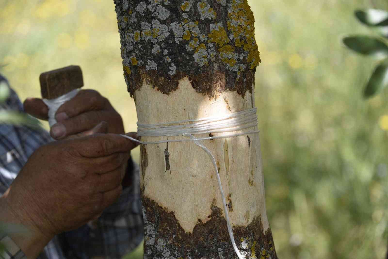 Yunusemre’de 2022 yılı aşılama çalışmaları başladı